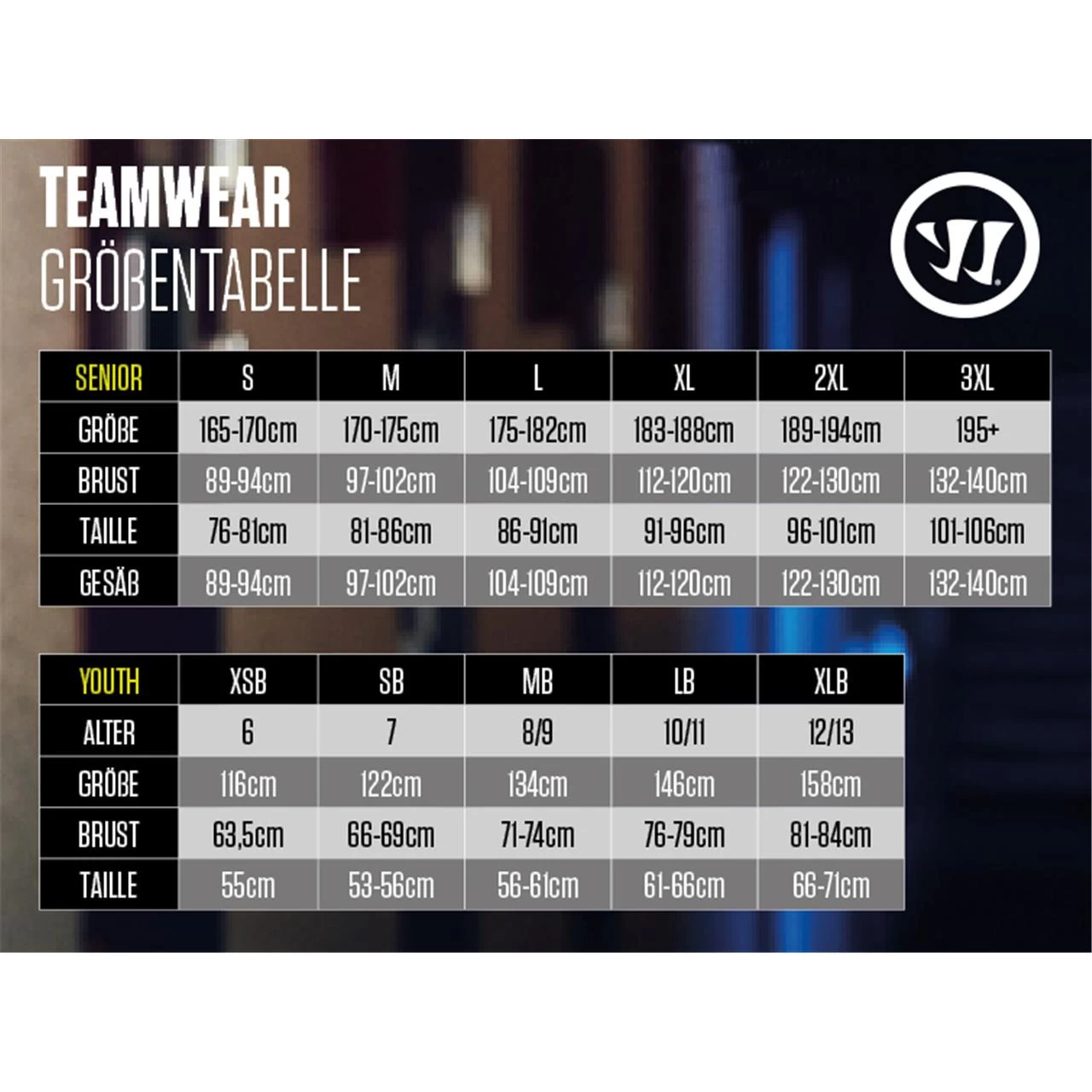 WARRIOR SPORTS Hoody Senior Schwarz 5 WARRIOR SPORTS Hoody Senior Schwarz – Bild 3