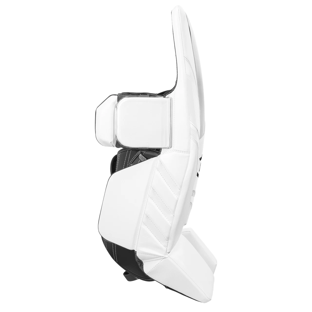 WARRIOR TW-Schiene RITUAL G6E+ Intermediate 6 WARRIOR TW-Schiene RITUAL G6E+ Intermediate – Bild 4